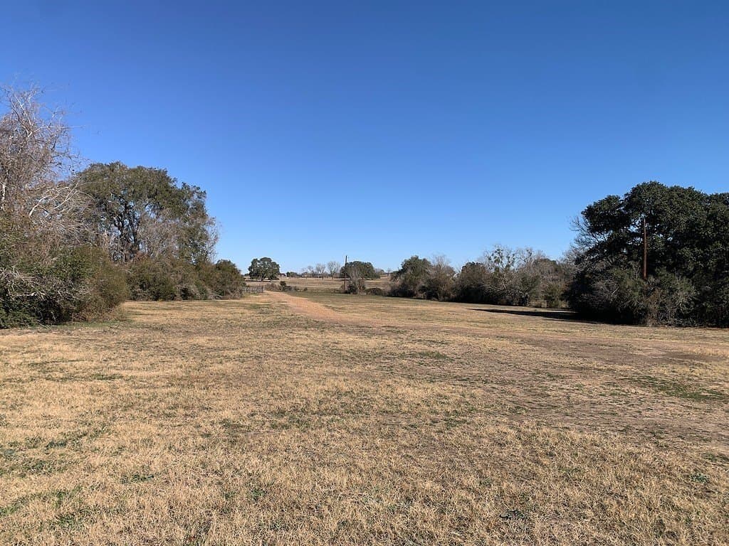 99.81 acres in Colorado County - photo 22