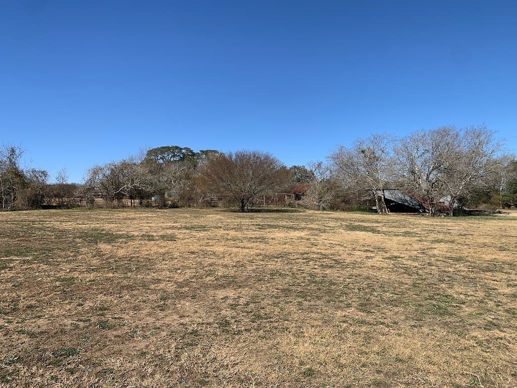 99.81 acres in Colorado County - photo 26