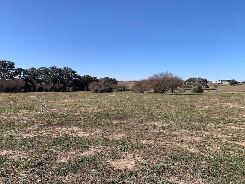 99.81 acres in Colorado County - photo 17
