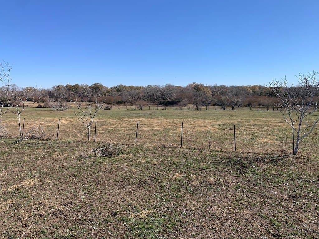 99.81 acres in Colorado County - photo 20