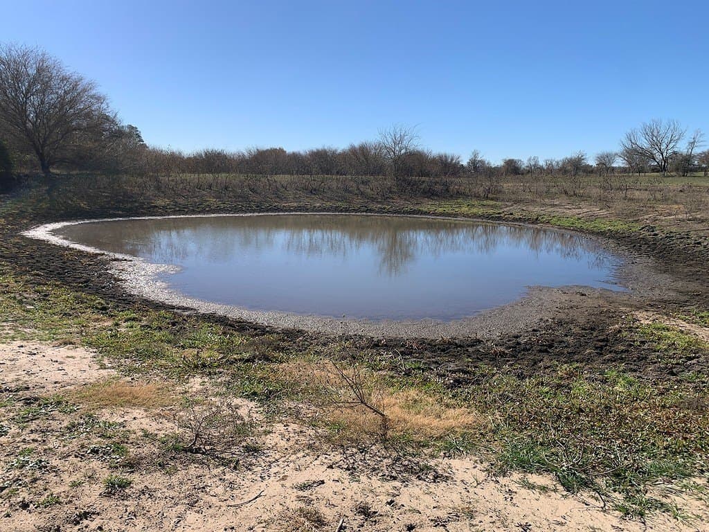 99.81 acres in Colorado County - photo 10