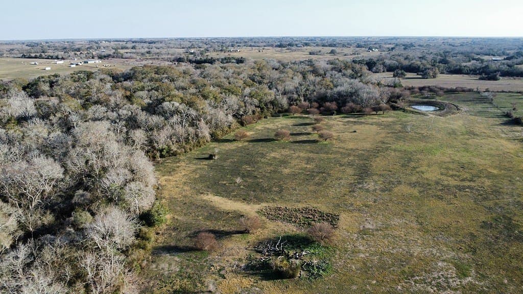 99.81 acres in Colorado County - photo 7