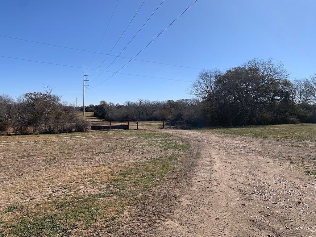 99.81 acres in Colorado County - photo 6