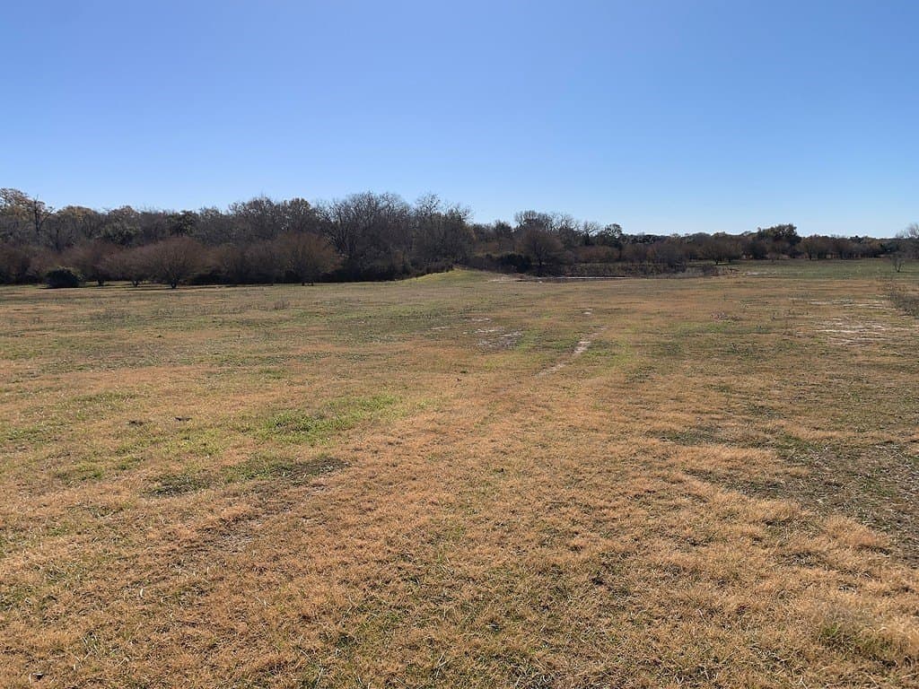 99.81 acres in Colorado County - photo 8