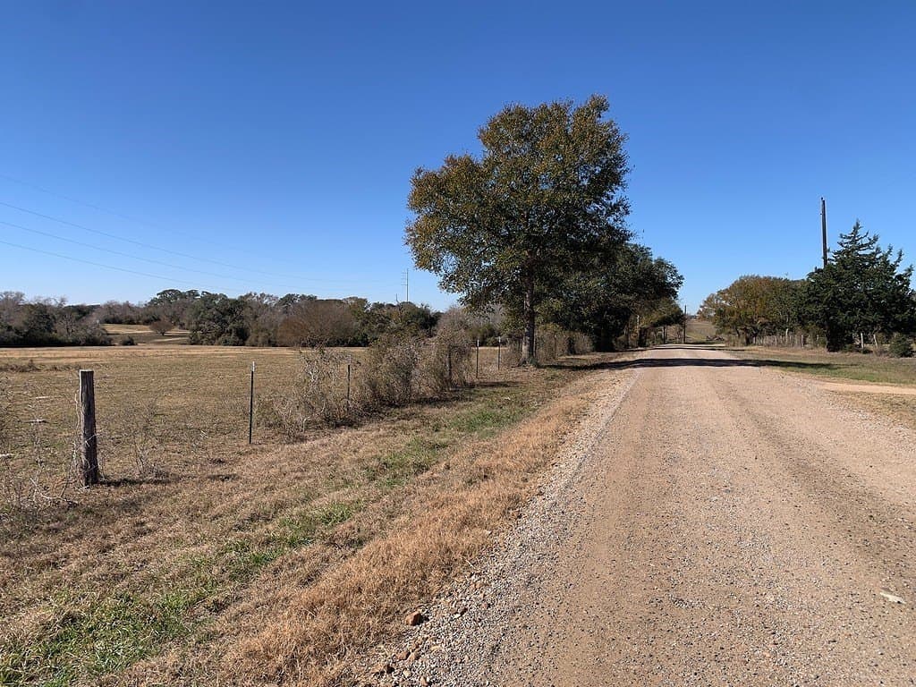 99.81 acres in Colorado County - photo 18