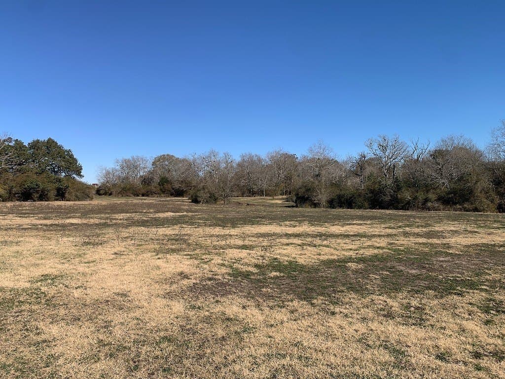 99.81 acres in Colorado County - photo 24