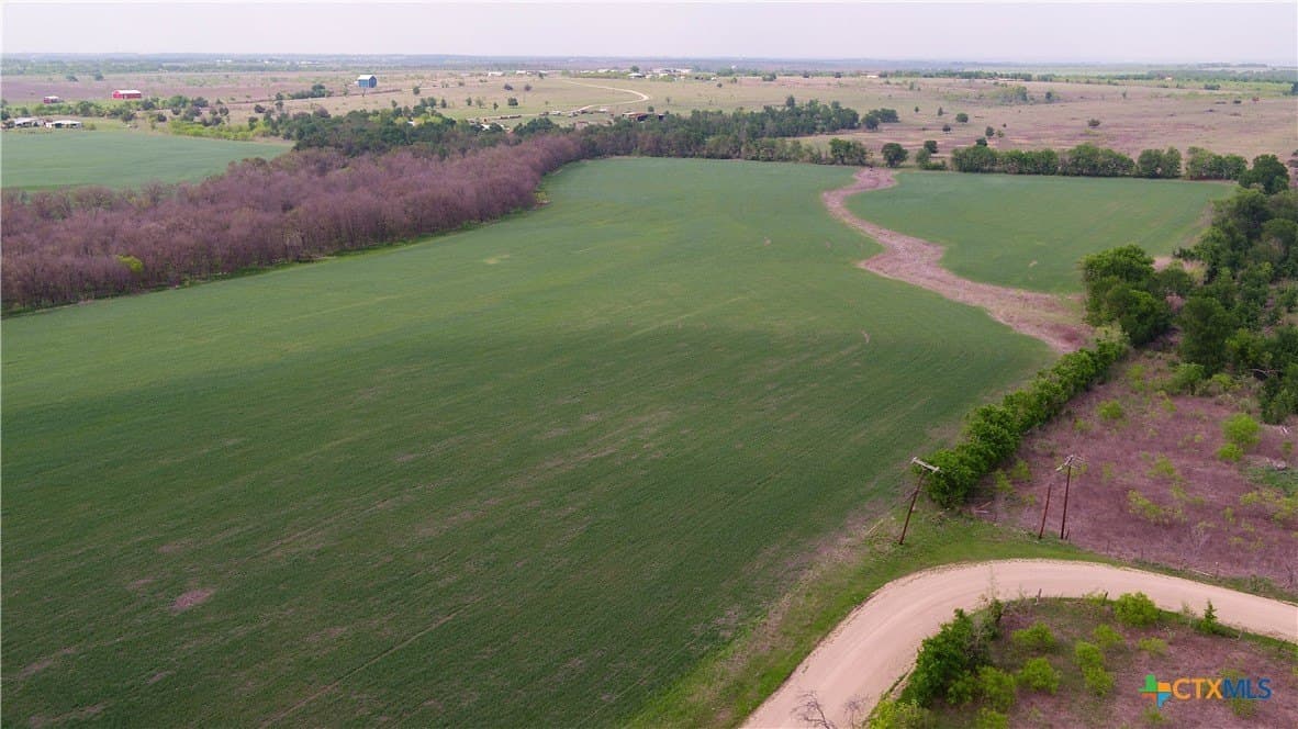 15.86 acres in Milam County gallery image 2