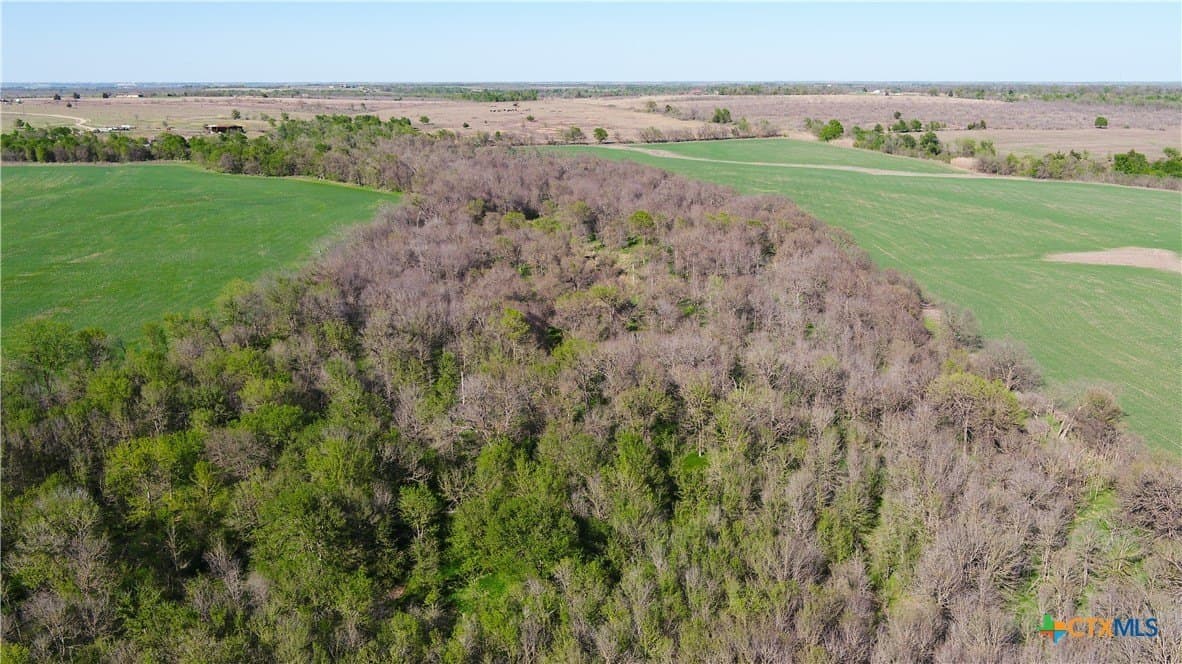 15.86 acres in Milam County gallery image 3