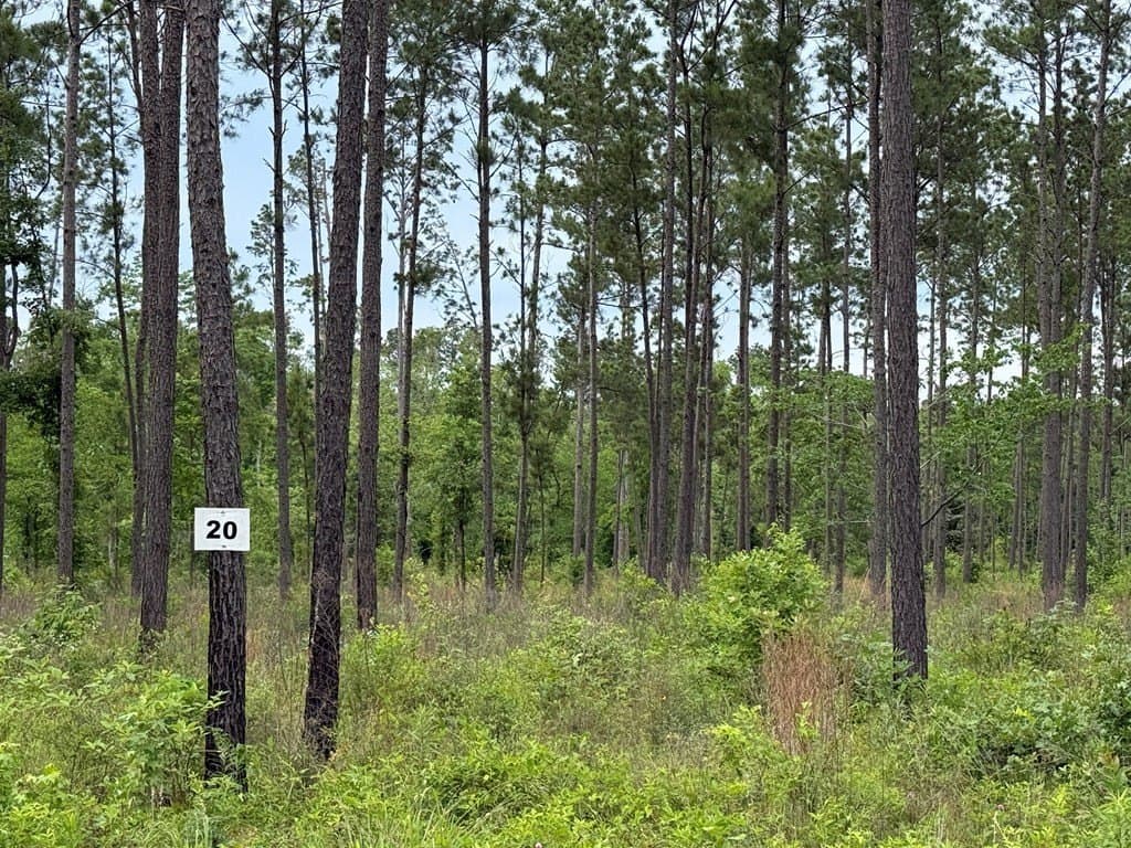 12.08 acres in Texas County gallery image 3