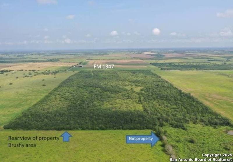 26.88 acres in Wilson County gallery image 3