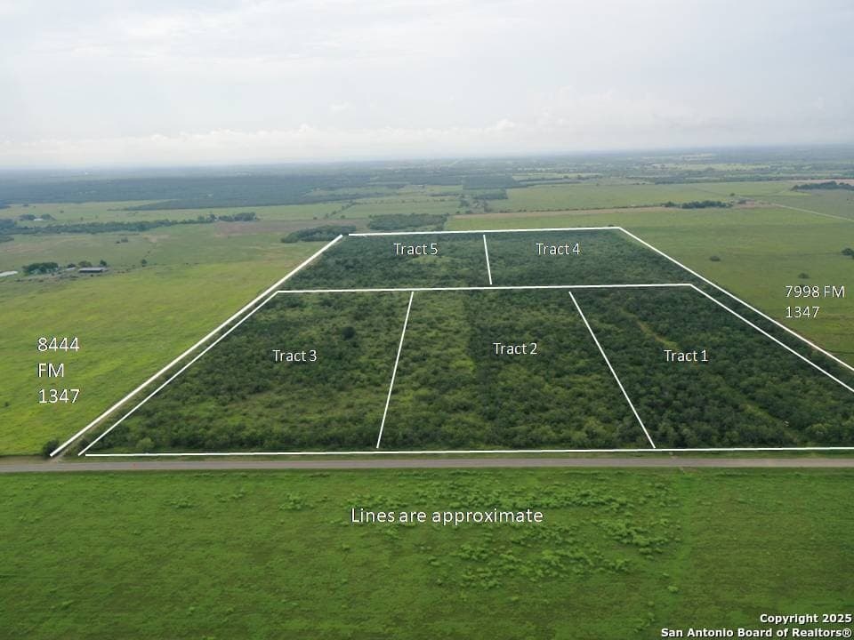 26.88 acres in Wilson County gallery image 2