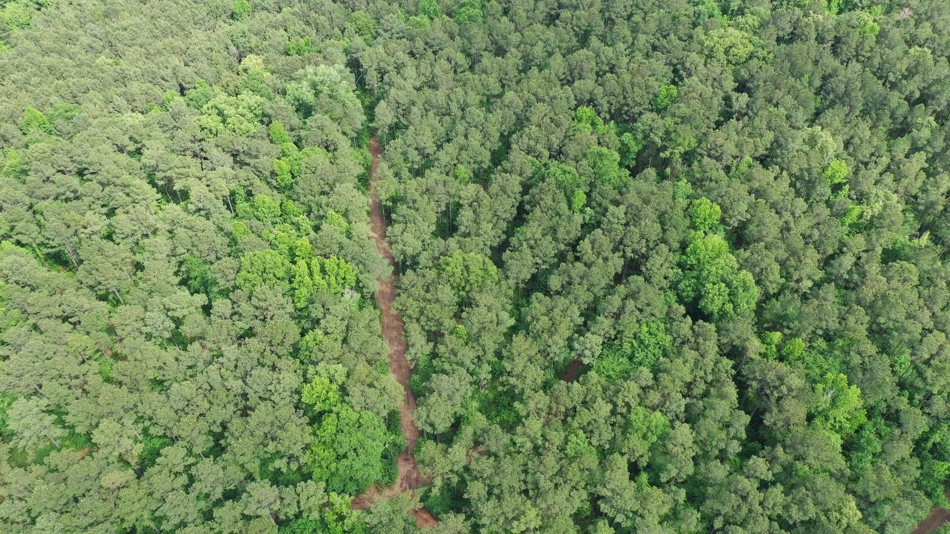 22.5 acres in Cass County featured view