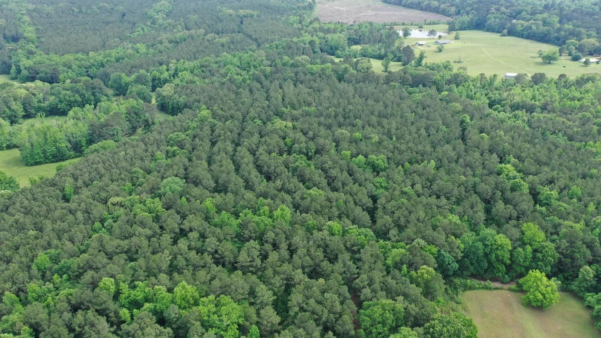 22.5 acres in Cass County gallery image 2