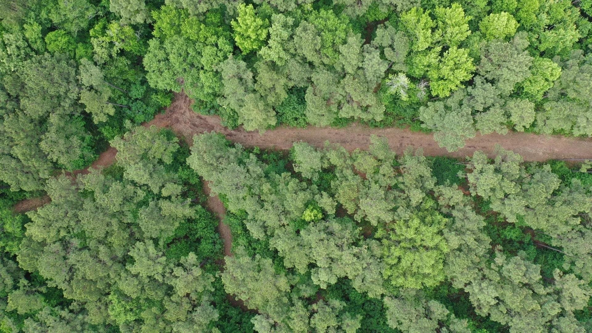 22.5 acres in Cass County gallery image 3