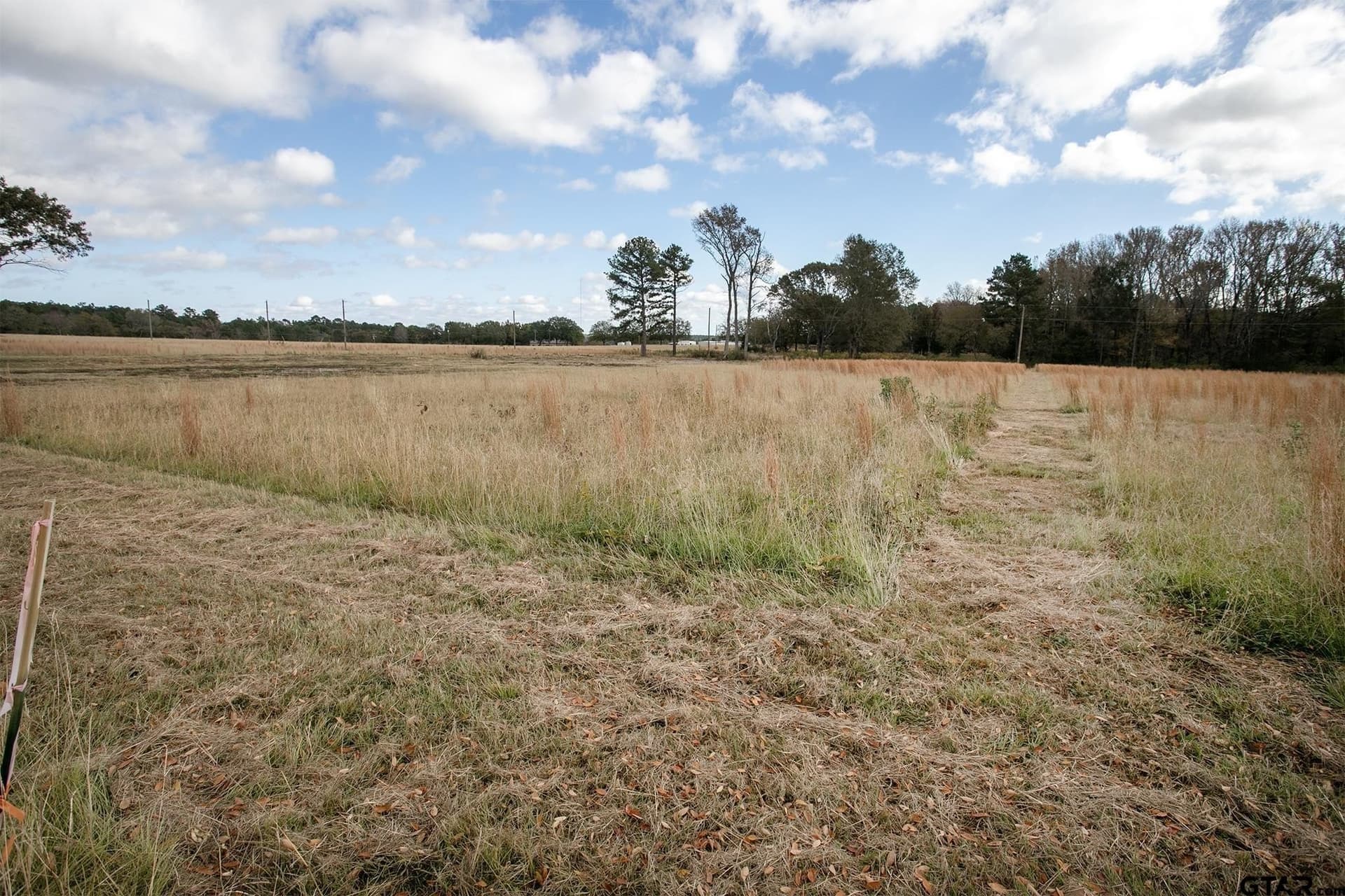 5.05 acres in Anderson County gallery image 3