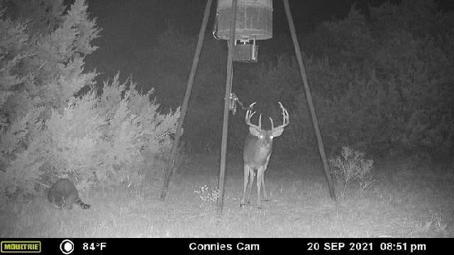 27.22 acres in Coryell County - photo 39