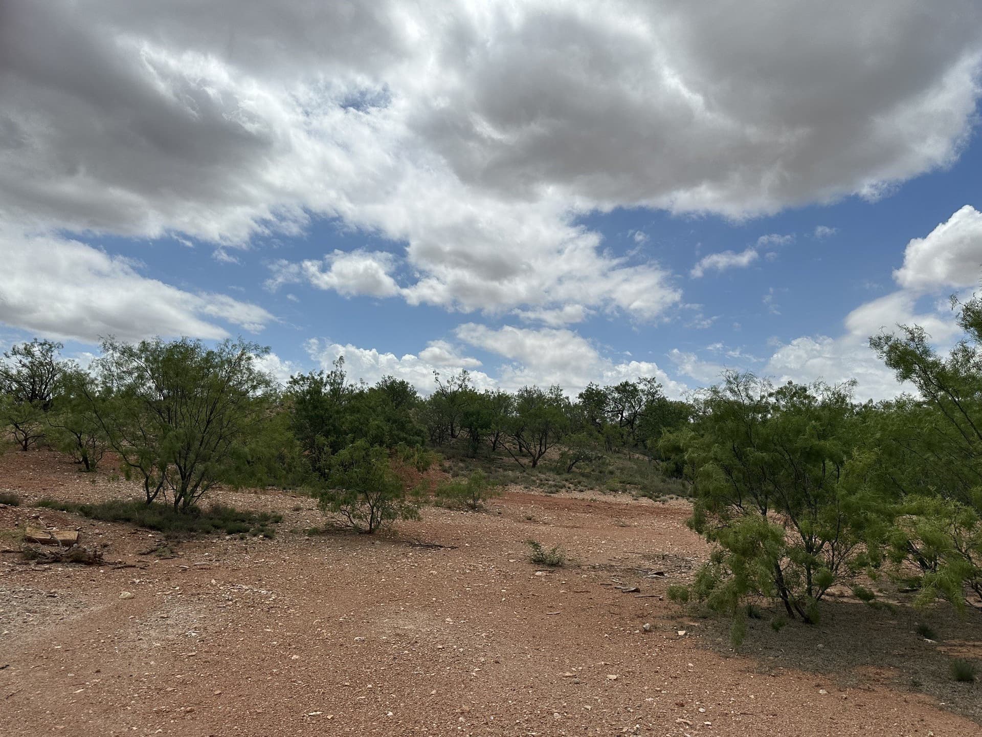 64.52 acres in Jones County - photo 34
