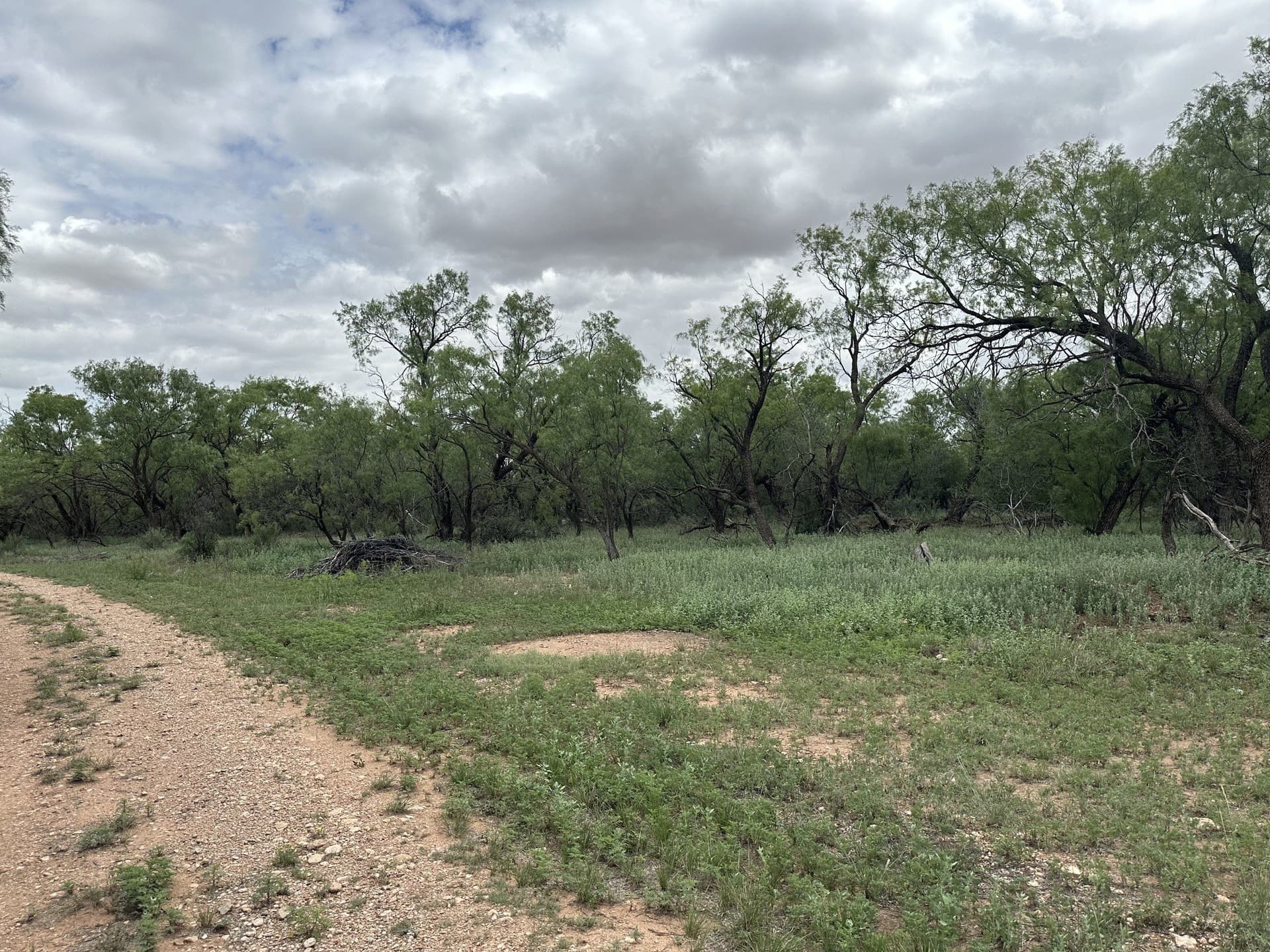 64.52 acres in Jones County - photo 37