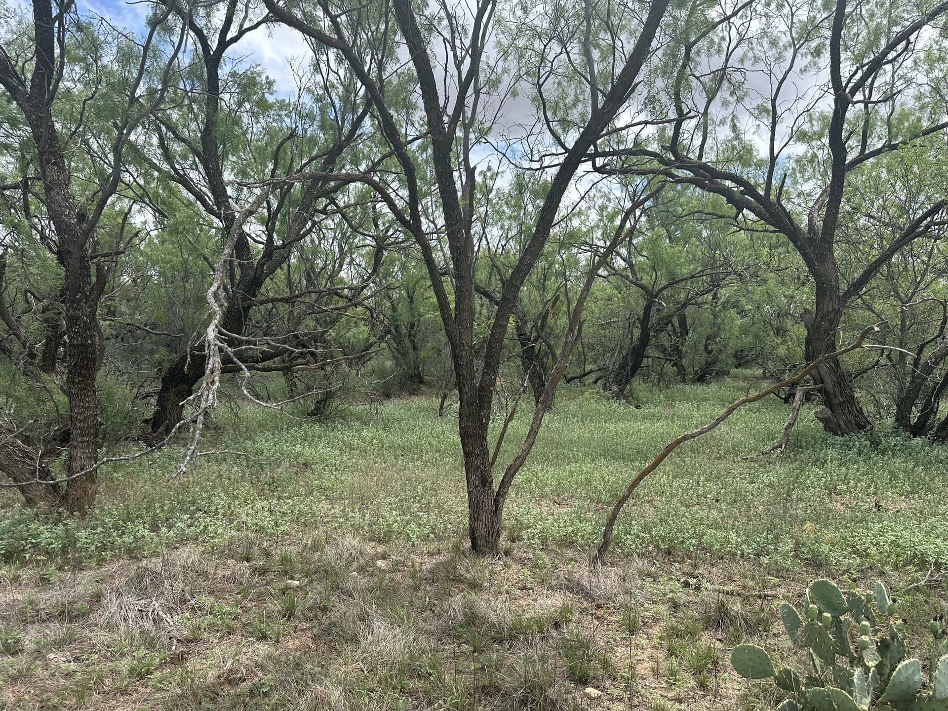 64.52 acres in Jones County - photo 28