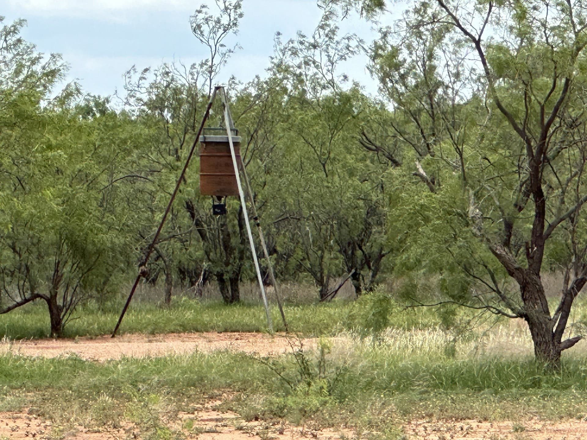 64.52 acres in Jones County - photo 31