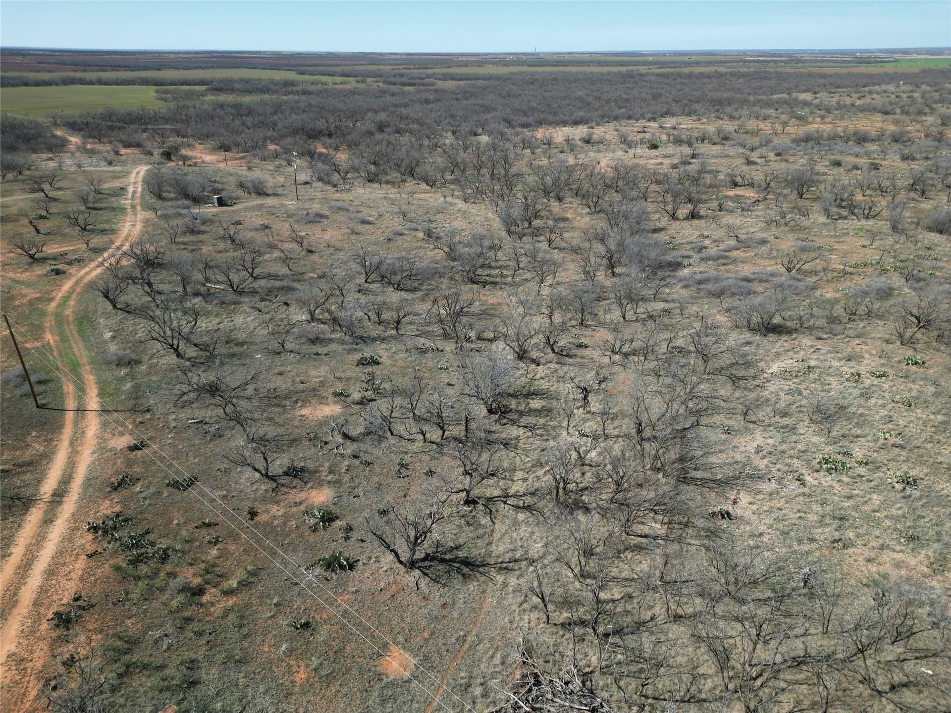 64.52 acres in Jones County - photo 13