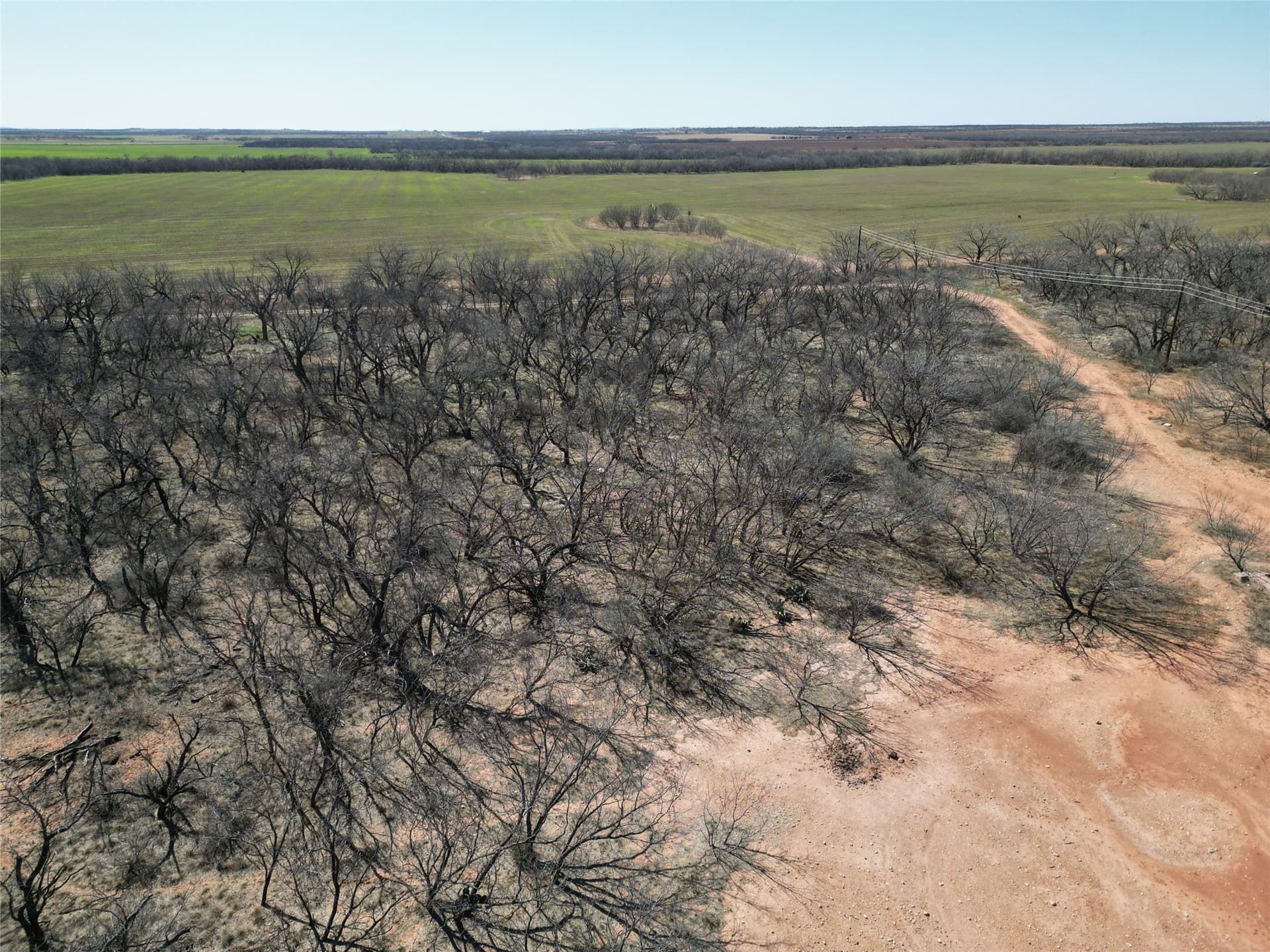 64.52 acres in Jones County - photo 21