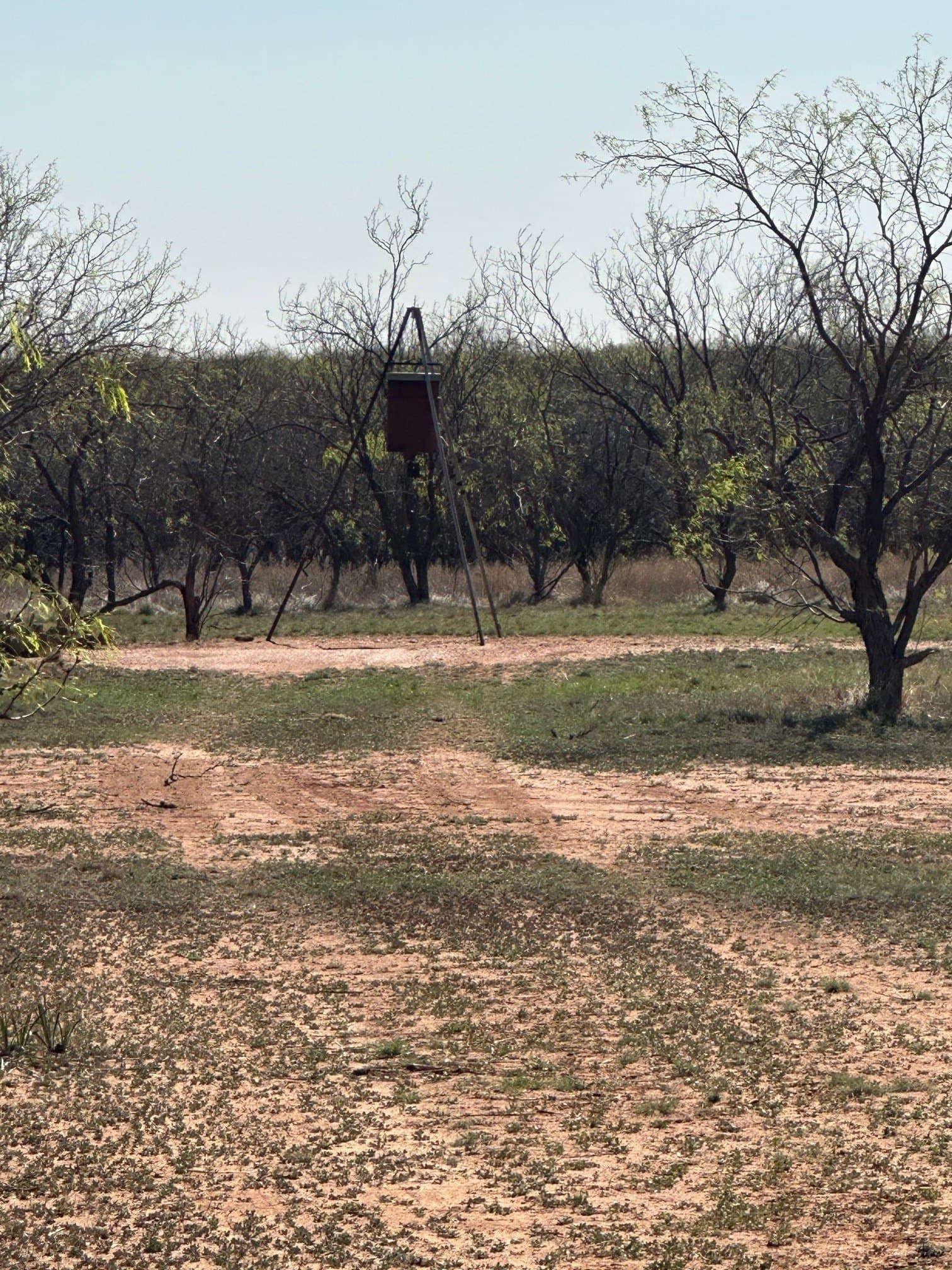 64.52 acres in Jones County - photo 9