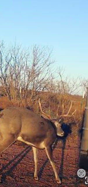 64.52 acres in Jones County - photo 11
