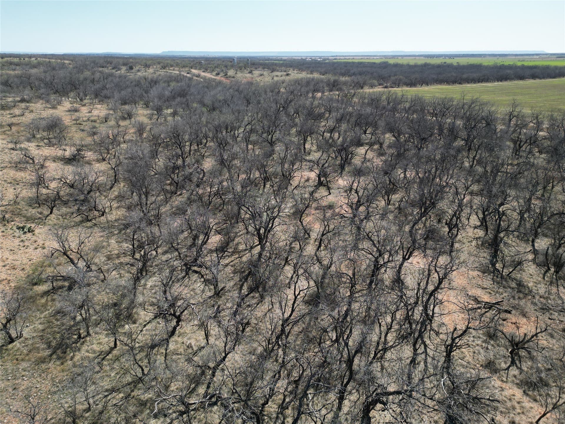 64.52 acres in Jones County - photo 20