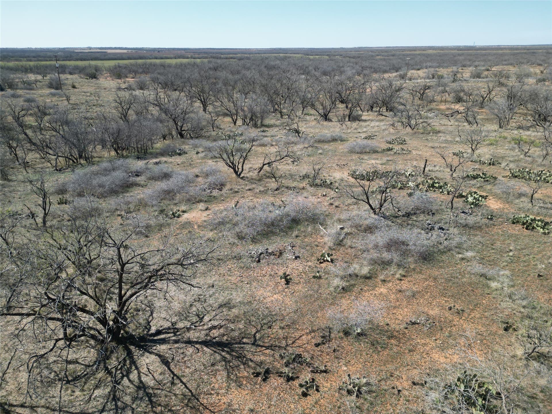 64.52 acres in Jones County - photo 14