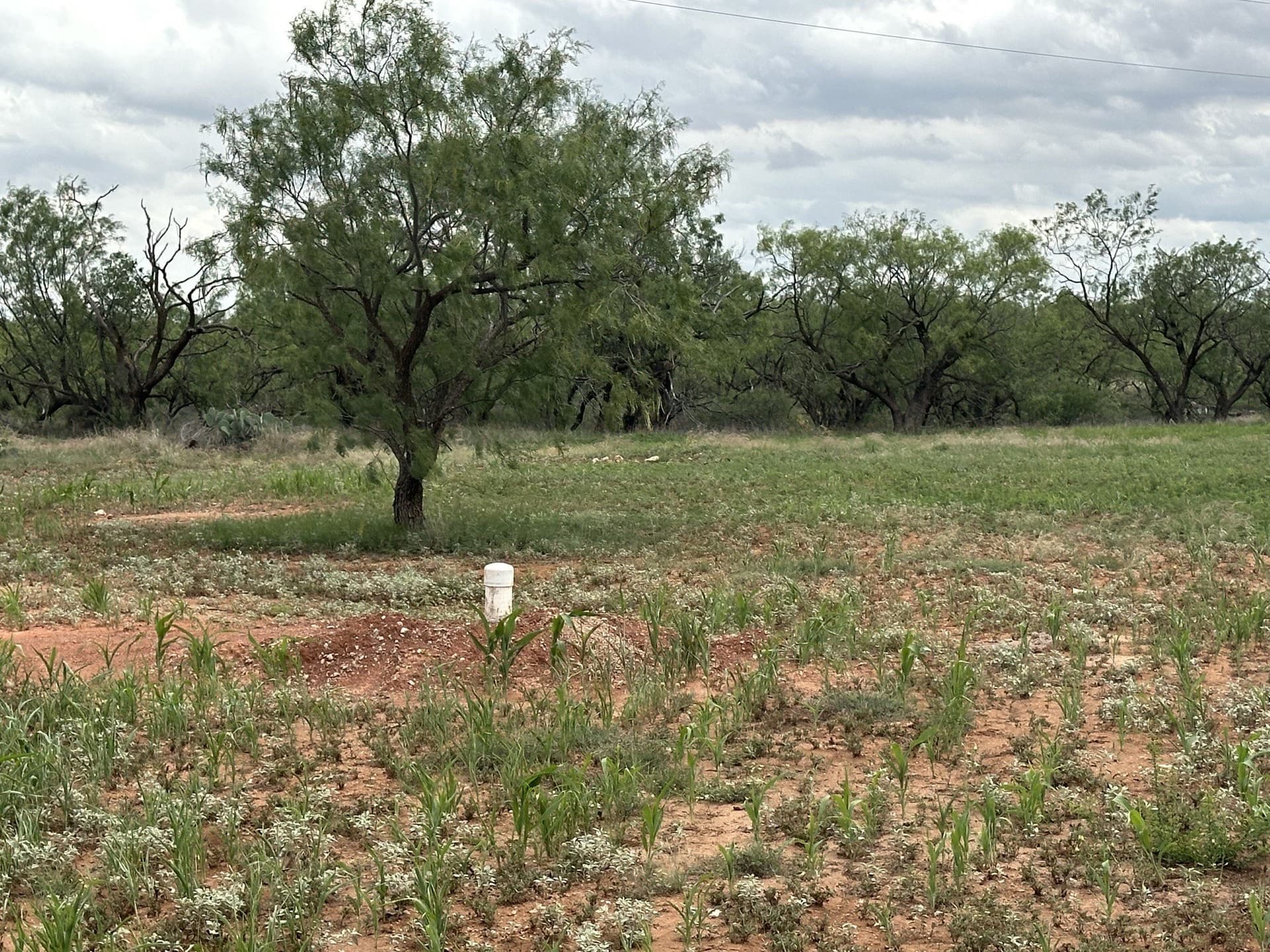 64.52 acres in Jones County - photo 35