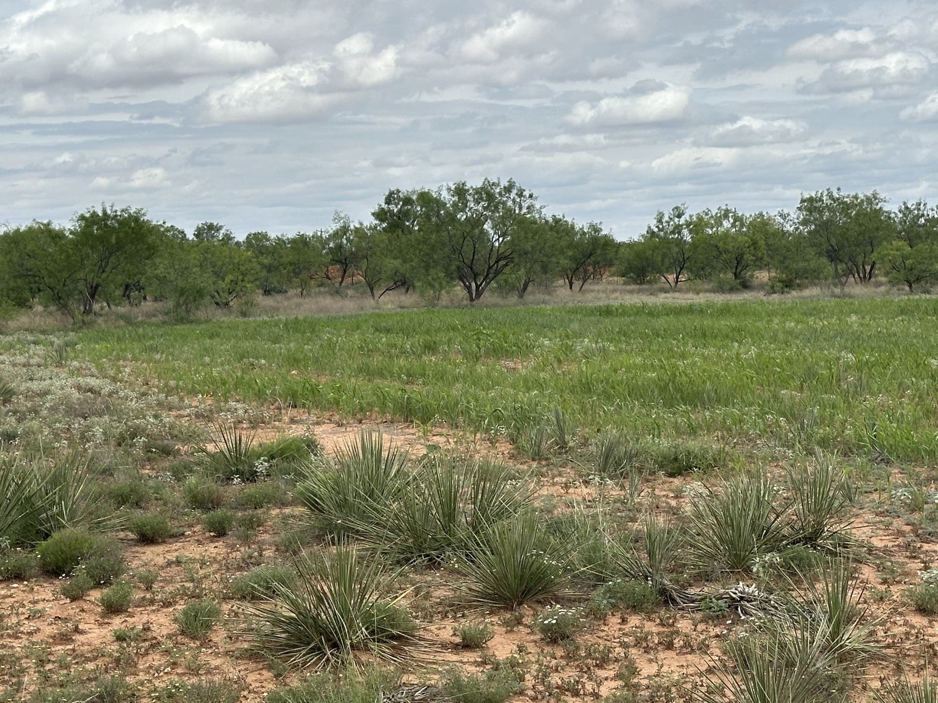 64.52 acres in Jones County - photo 30