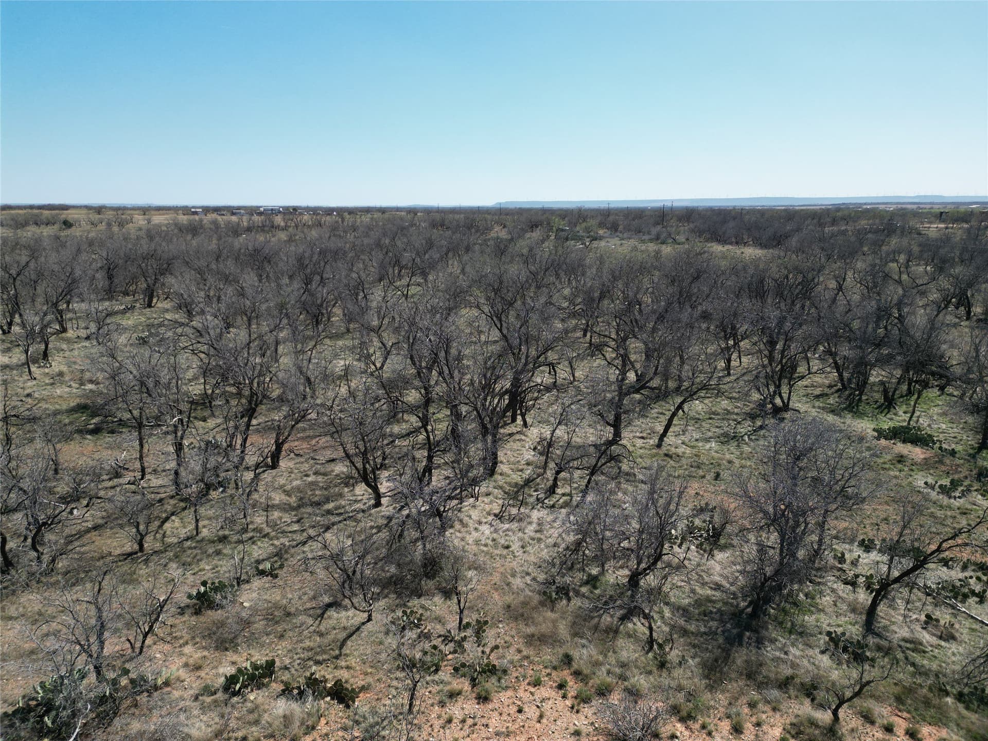 64.52 acres in Jones County - photo 18