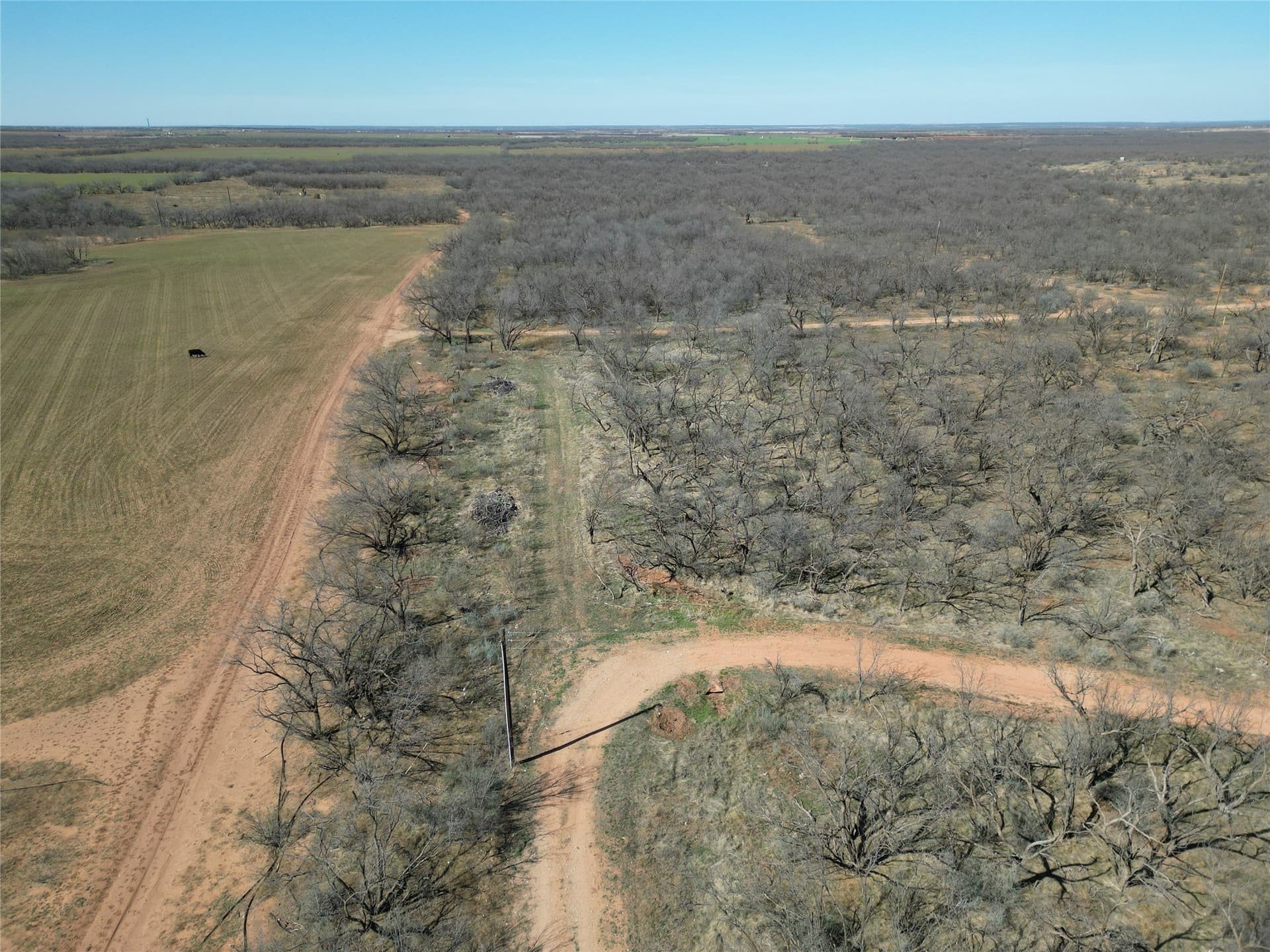 64.52 acres in Jones County - photo 3