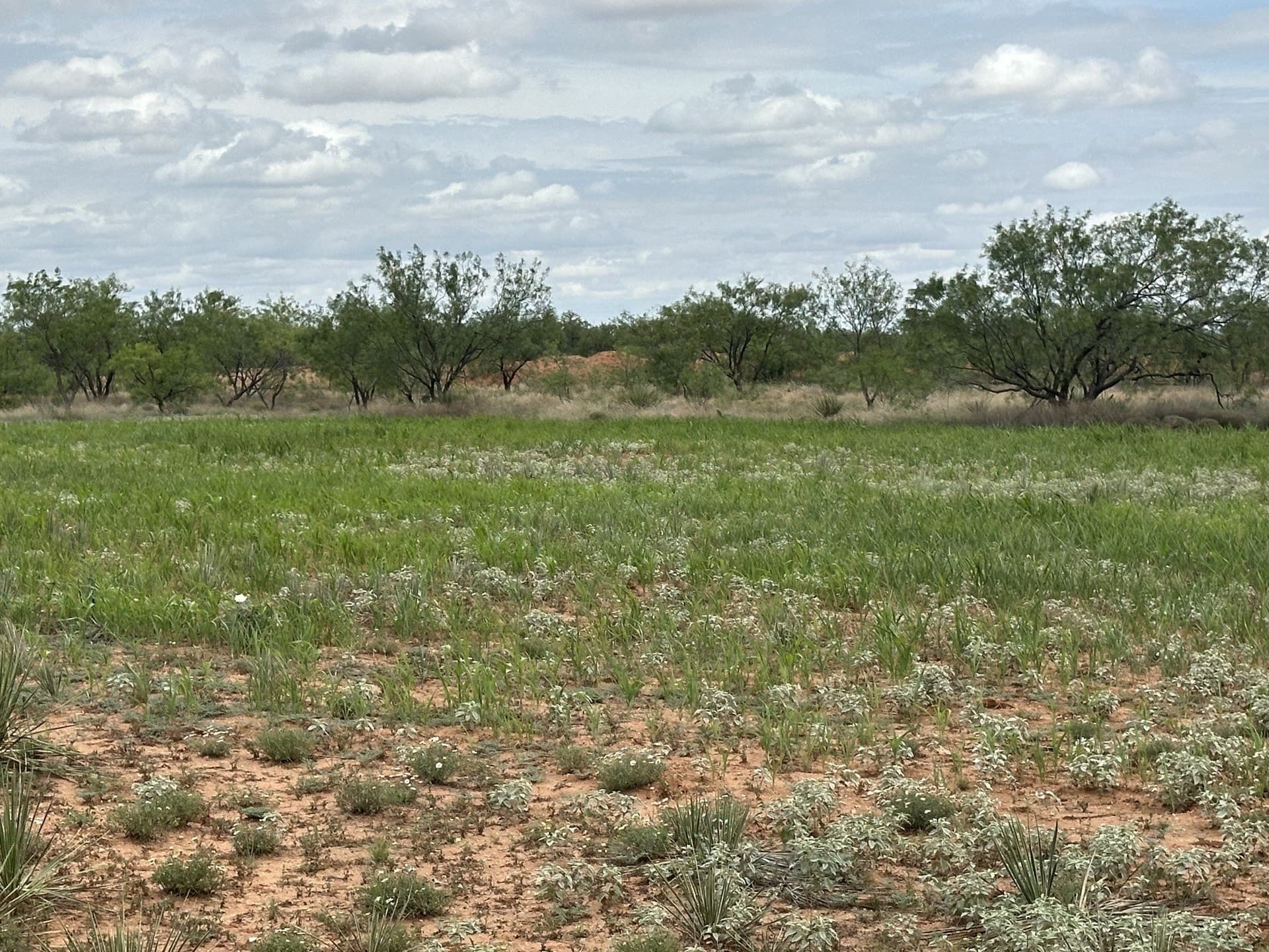 64.52 acres in Jones County - photo 29