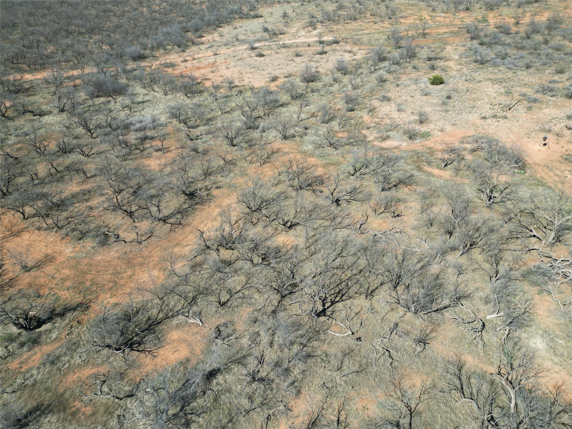 64.52 acres in Jones County - photo 24