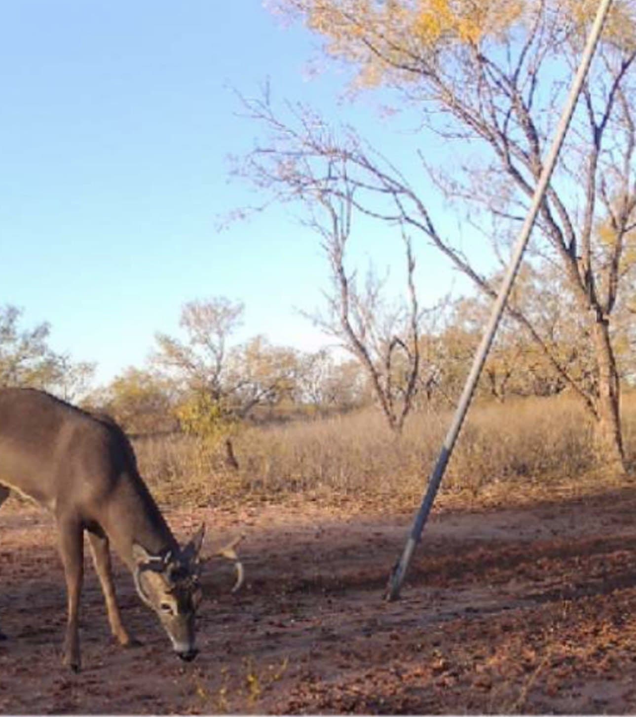 64.52 acres in Jones County - photo 10