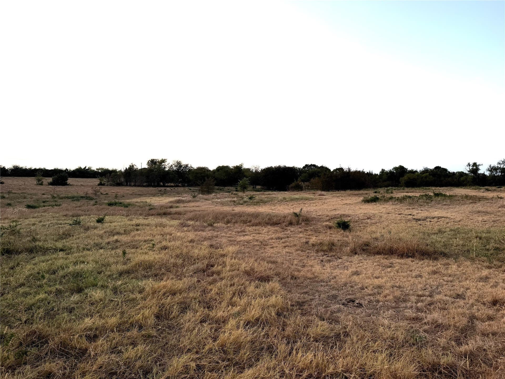 72.66 acres in Fannin County - photo 2