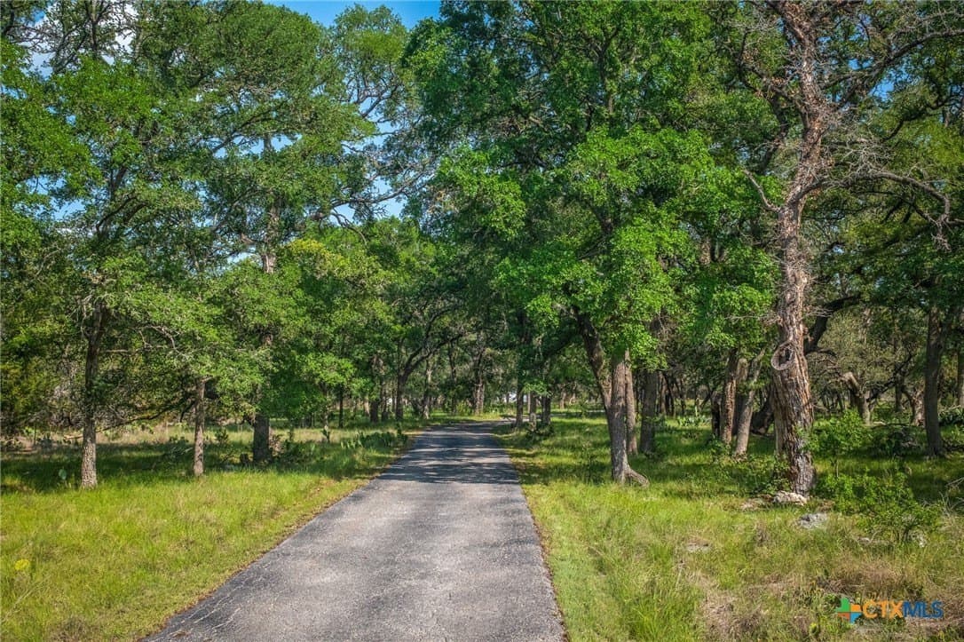 10 acres in Comal County gallery image 4
