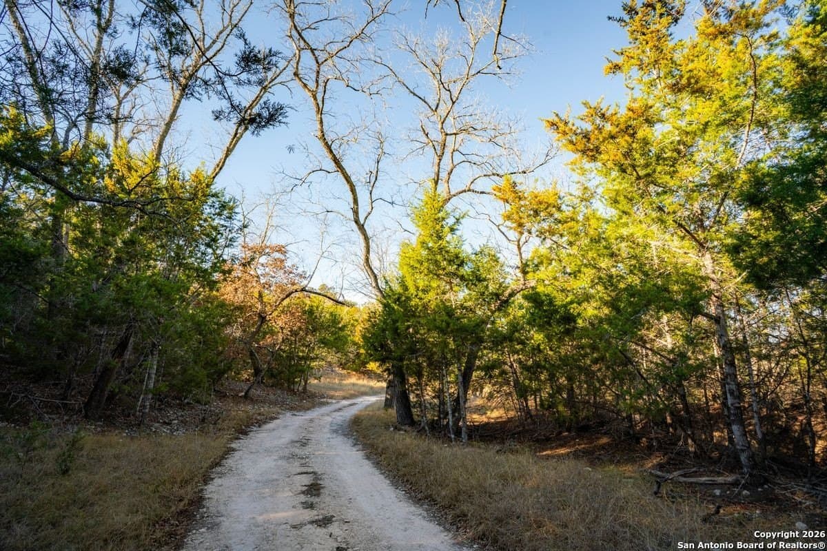 24.5 acres in Kerr County gallery image 3