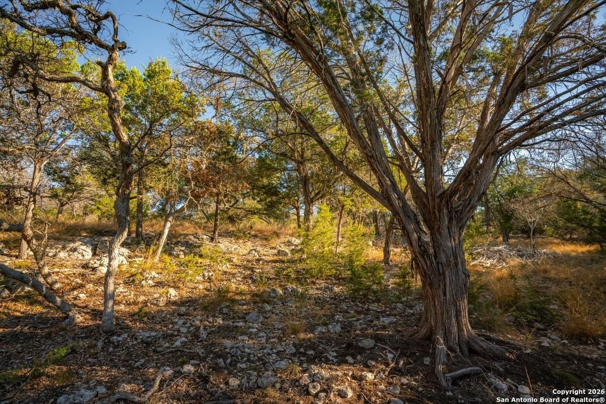 24.5 acres in Kerr County featured view