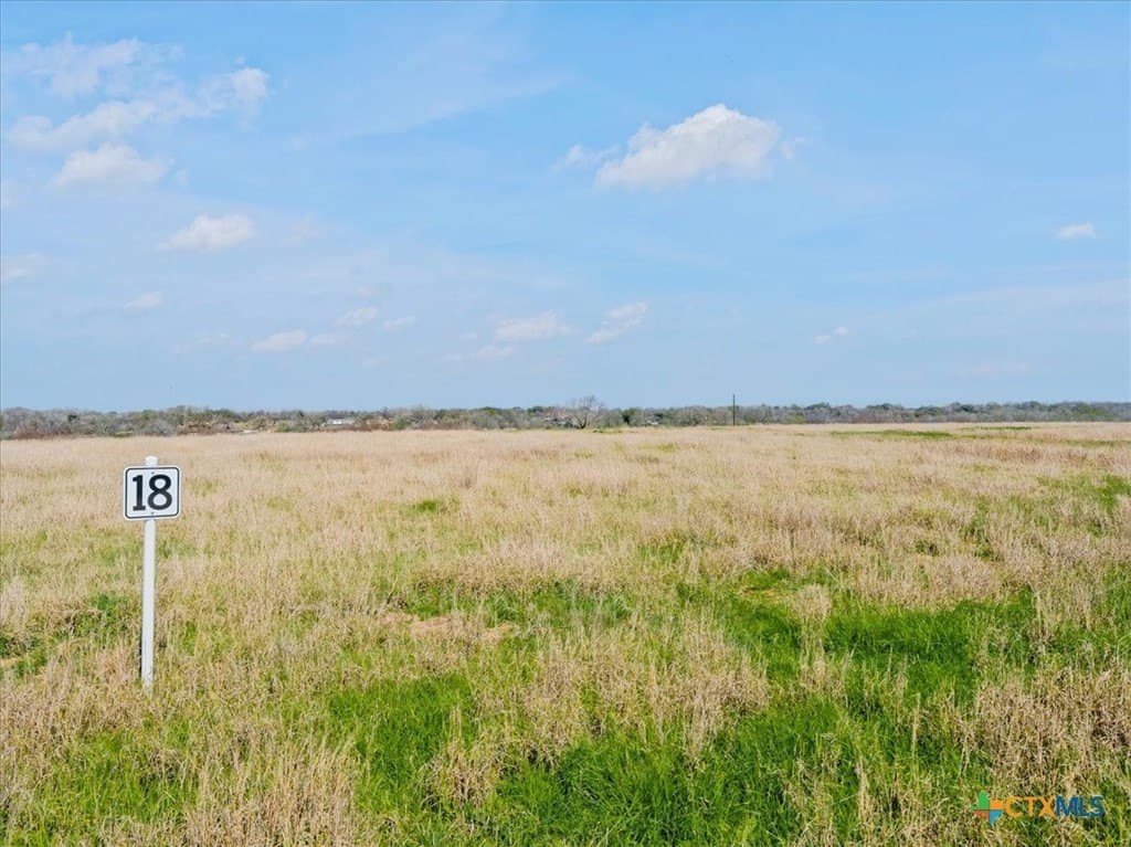 3 acres in Gonzales County - photo 2