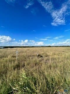 3 acres in Gonzales County - photo 26