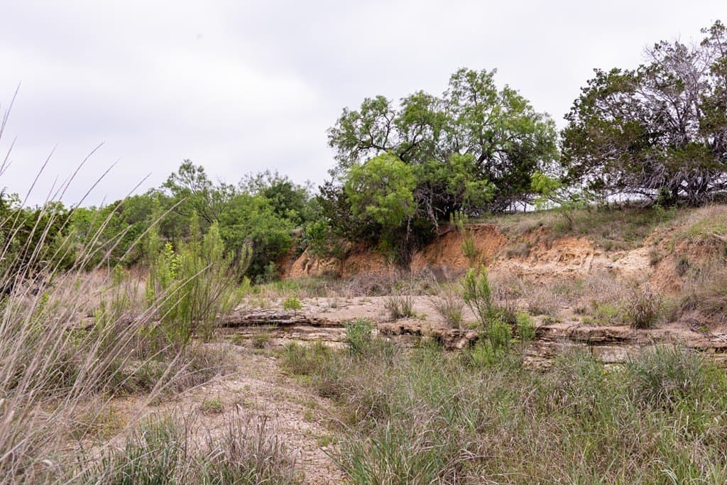50 acres in Bandera County - photo 49
