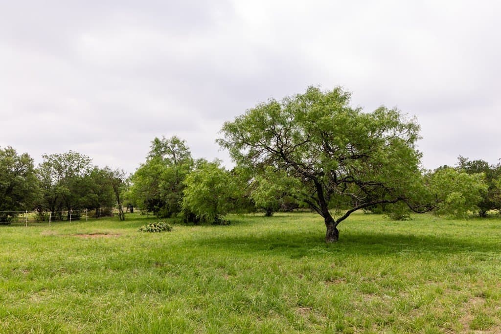 50 acres in Bandera County - photo 51