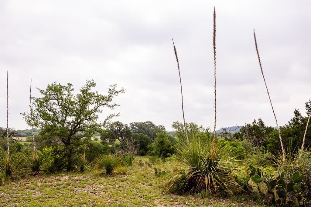 50 acres in Bandera County - photo 30