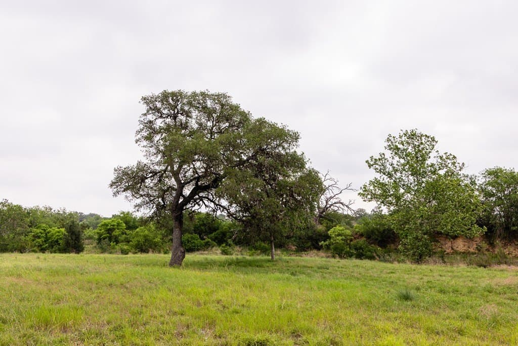 50 acres in Bandera County - photo 48