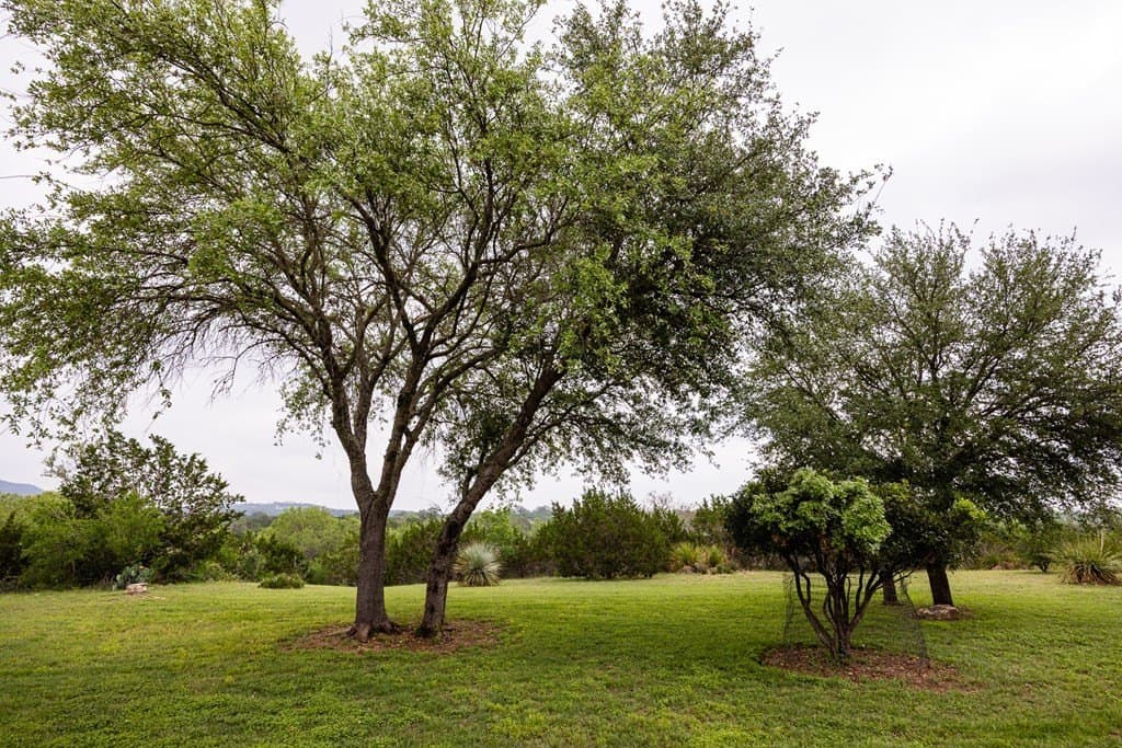50 acres in Bandera County - photo 25