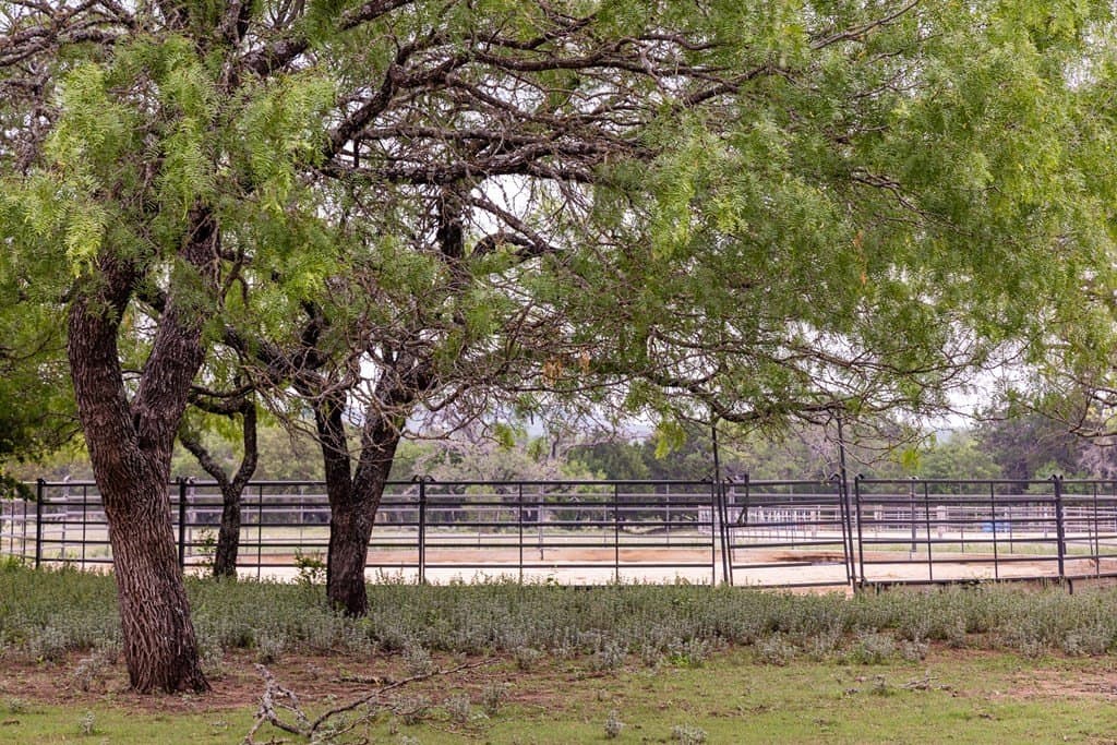 50 acres in Bandera County - photo 46