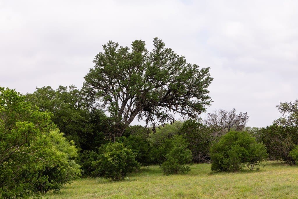 50 acres in Bandera County - photo 53
